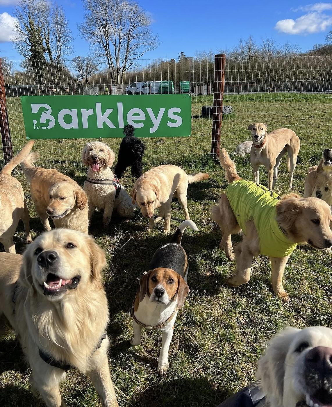 The whole Barkleys pack gathered in front of the Barkleys banner on a sunny day